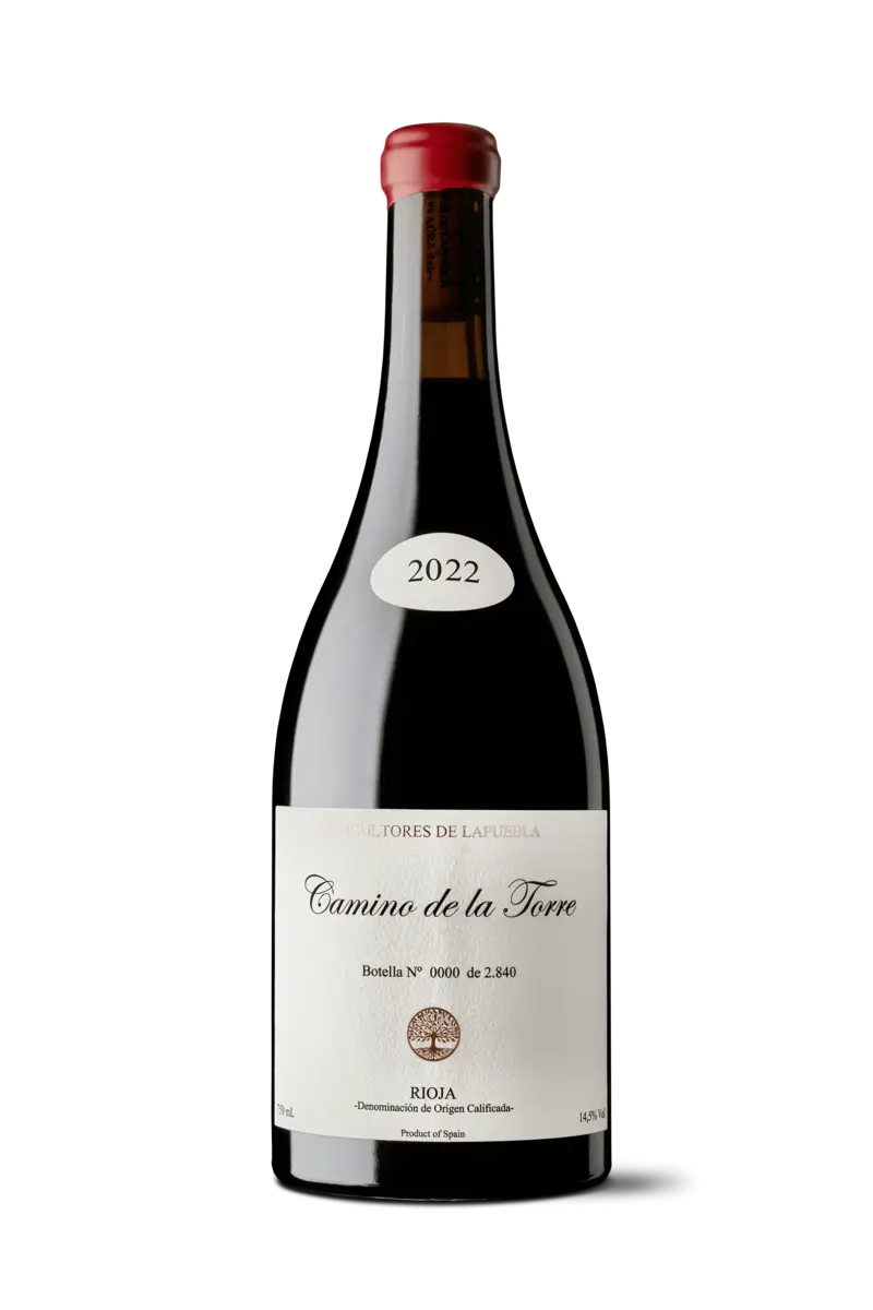 camino_de_la_torre_sin_fondo-comp.webp