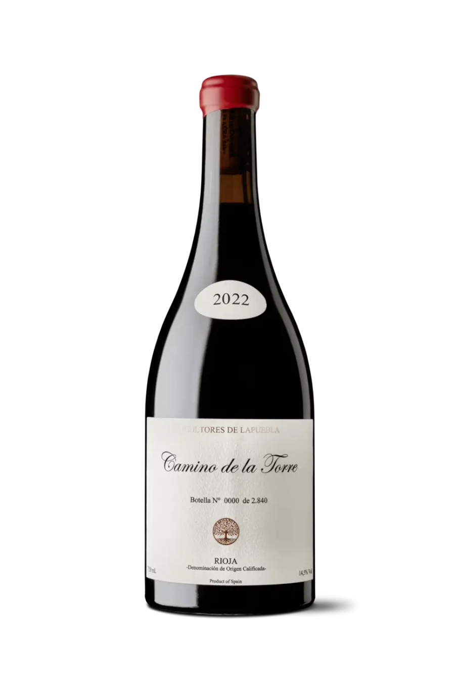 camino_de_la_torre_sin_fondo-comp1.webp
