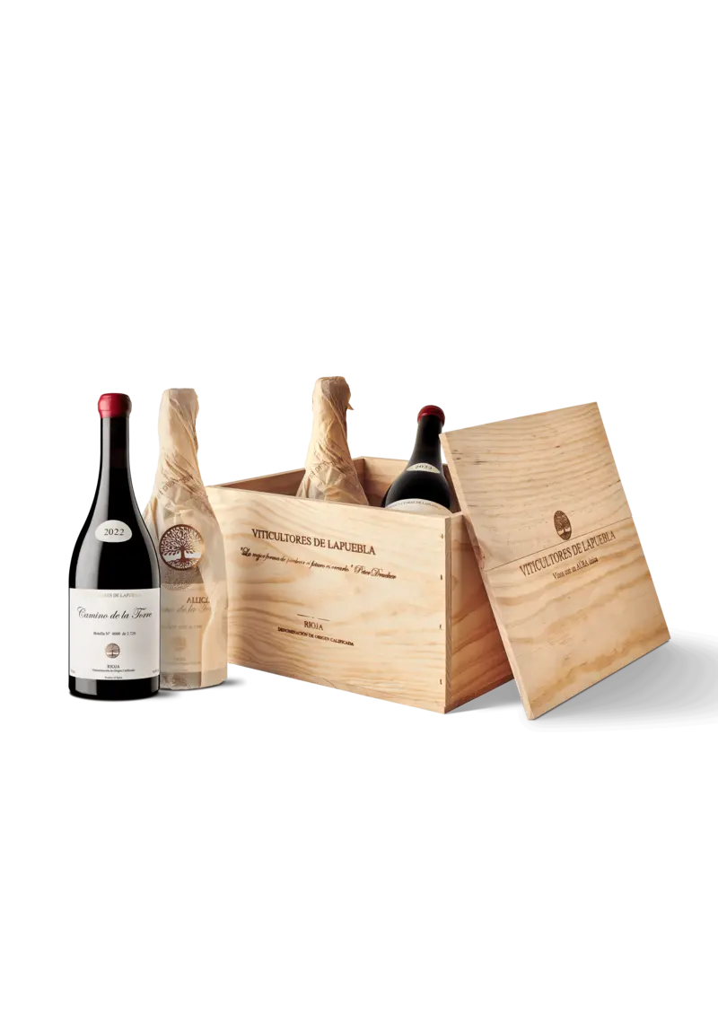 camino_torre_madera_fondo-comp.webp